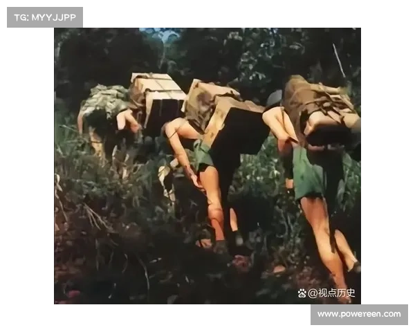 冬拥湖畔的军需传奇:抗战时期物资调配与后勤保障的英雄故事 冬拥湖畔的军需传奇:抗战时期物资调配与后勤保障的英雄故事
